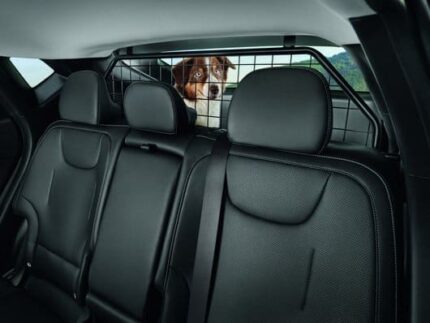 Kia EV6 Dog Guard