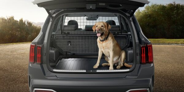 P2151ADE00_1024x1024-600x300-1.jpg Kia Sorento 2020-On Dog Guard Lower - Image 1