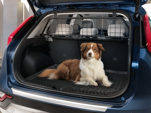 niro-2022-dog-guard.png Kia Niro / E-Niro 2022-Present Dog Guard - Image 1